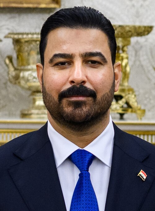 Portrait of Ali al-Zaidi