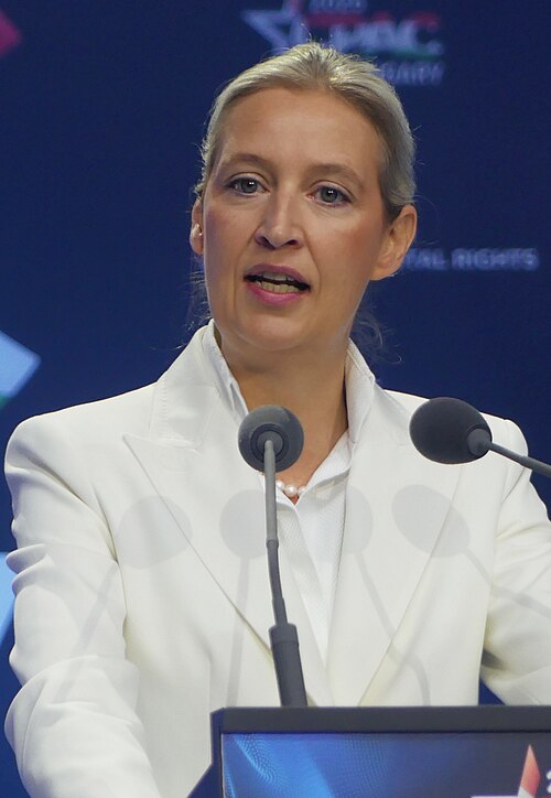 Portrait of Alice Weidel