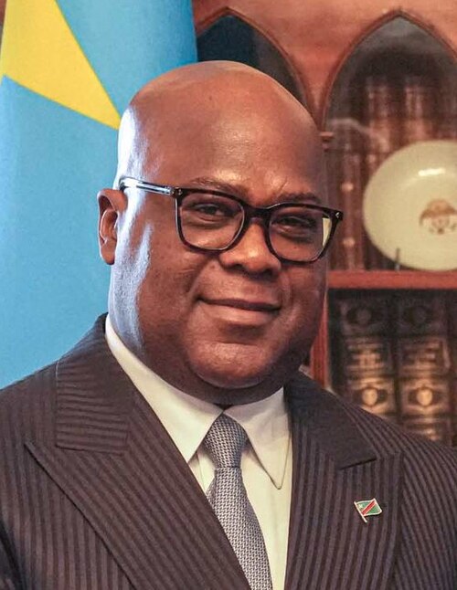 Portrait of Félix Tshisekedi