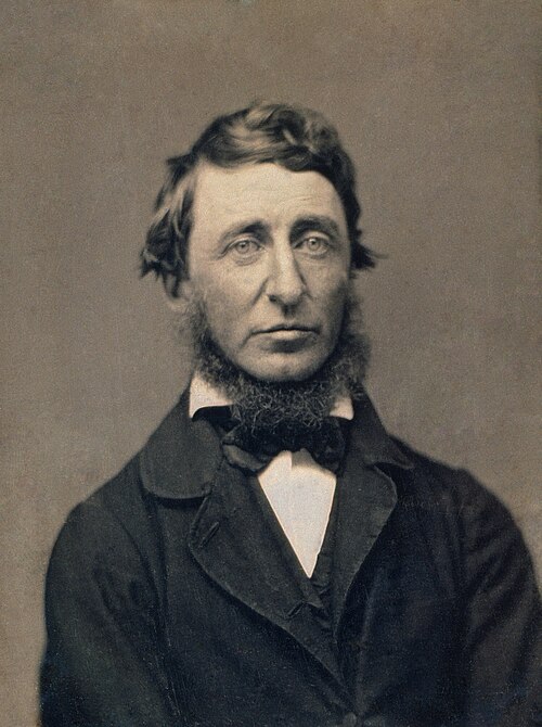 Portrait of Henry David Thoreau