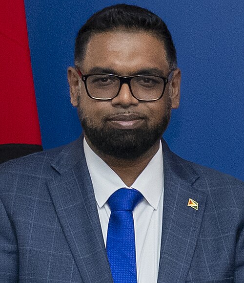 Portrait of Irfaan Ali