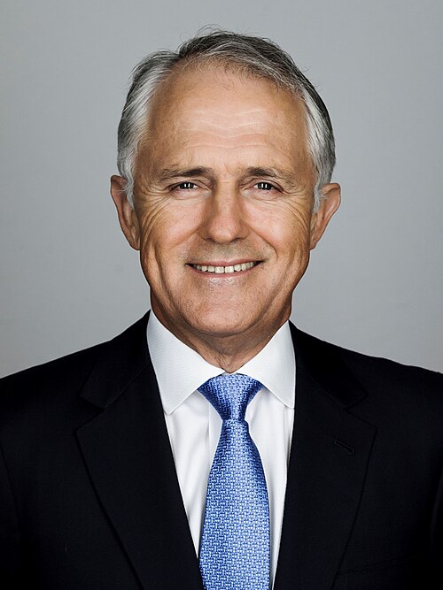 Portrait of Malcolm Turnbull