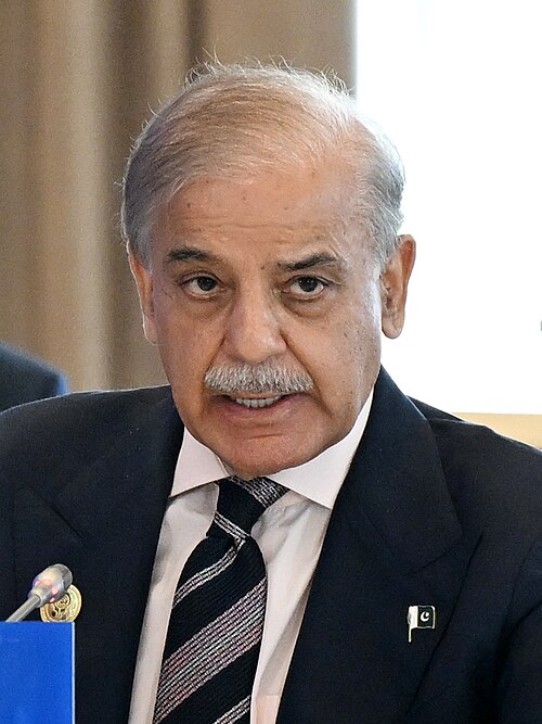 Portrait of Shehbaz Sharif