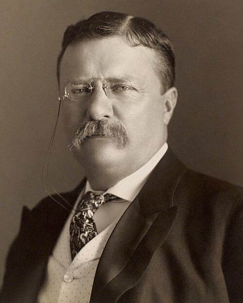Portrait of Theodore Roosevelt