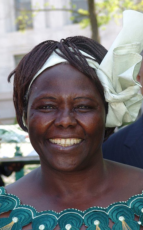 Portrait of Wangari Maathai